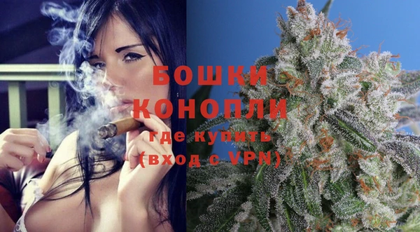 трава Пересвет