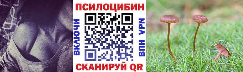 Купить  Лесозаводск  Галлюциногенные грибы Cubensis 